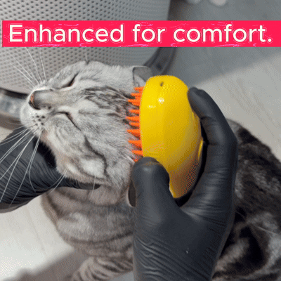 Meowsoft ™️ - Steam Brush