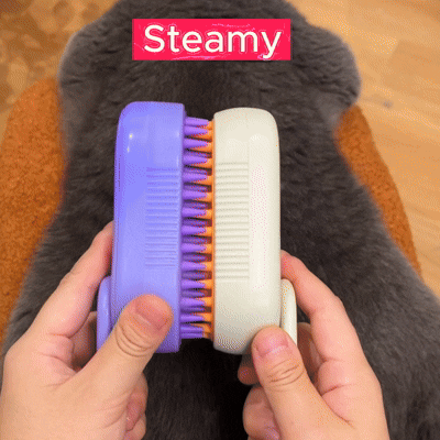 Meowsoft ™️ - Steam Brush
