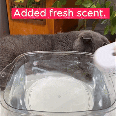 Meowsoft ™️ - Steam Brush